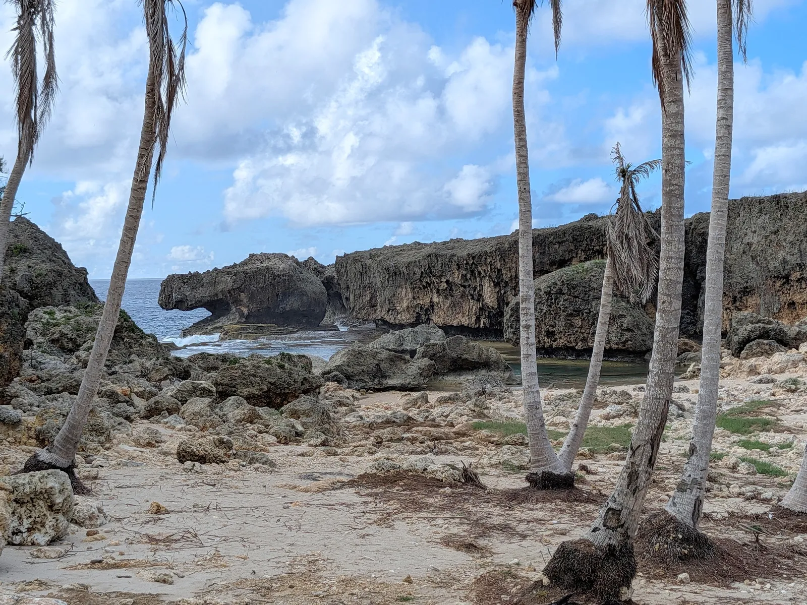The alligator rock formation at Unai Fanhang framed by storm-damaged coconut palms along the shore