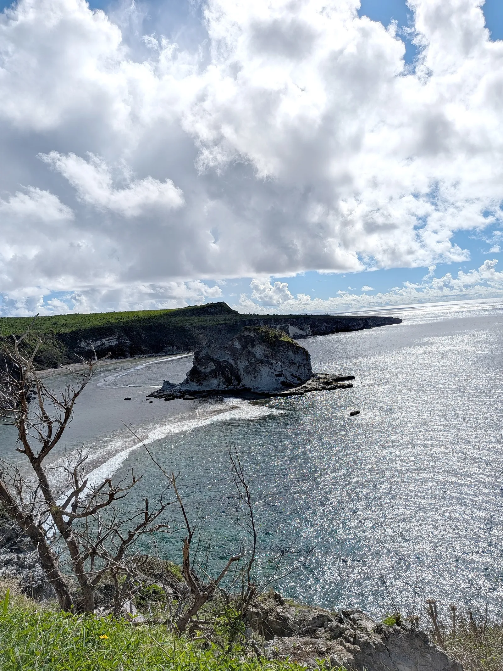 Bird Island Bay from the lookout, showing the sand beach curving away beneath the cliffs behind the islet