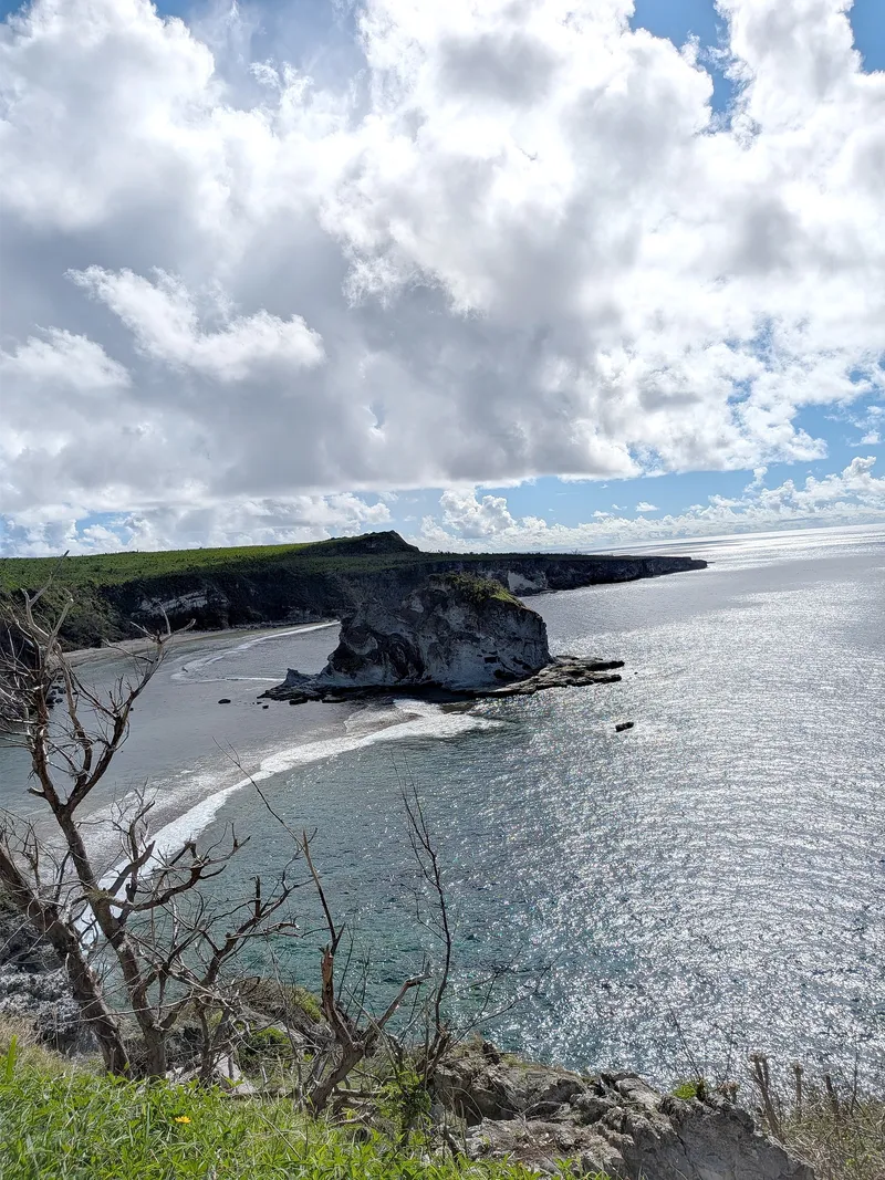 Bird Island Bay from the lookout, showing the sand beach curving away beneath the cliffs behind the islet