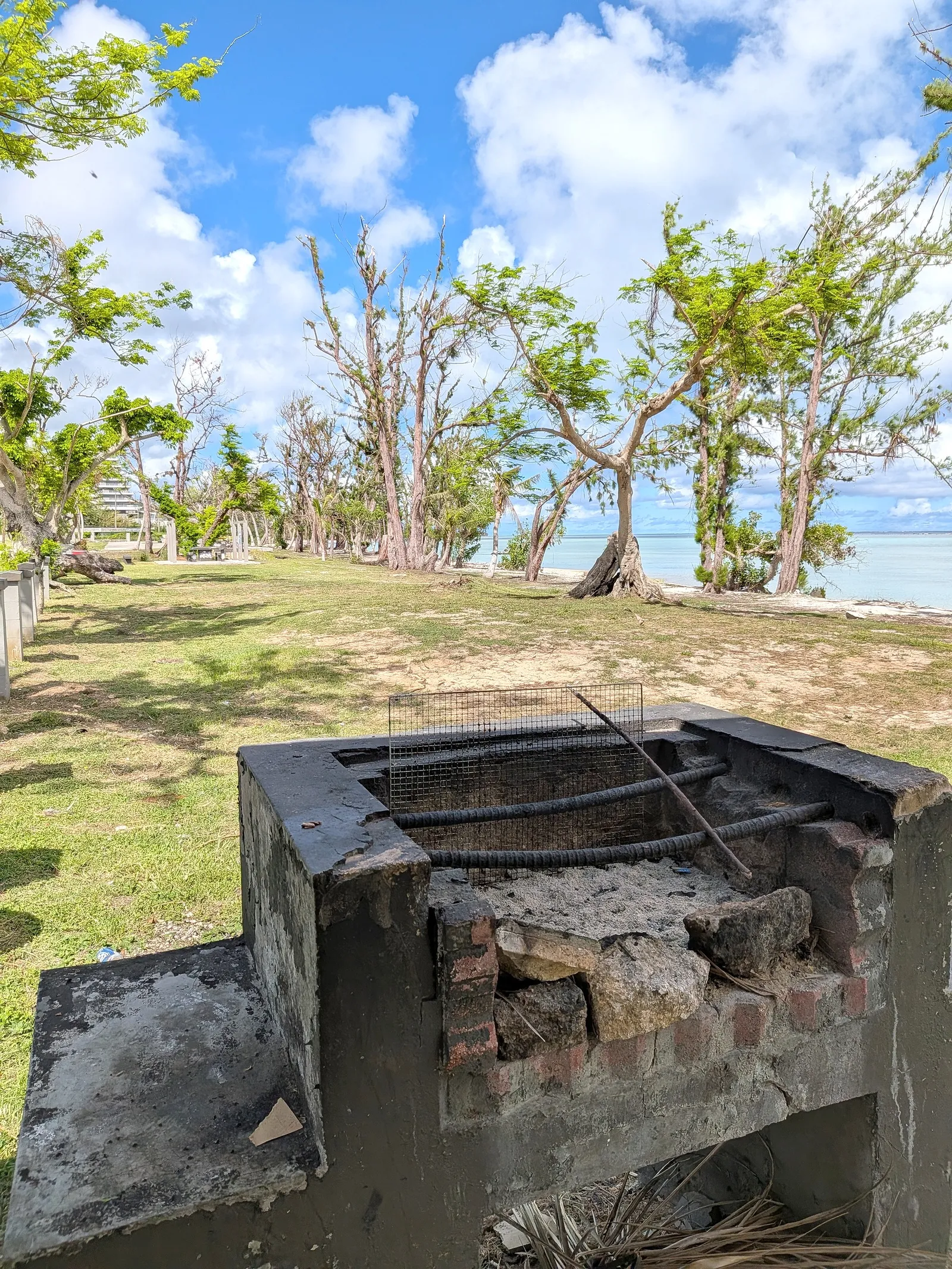A concrete BBQ grill pit at Paupau Beach Park, with storm-damaged trees behind