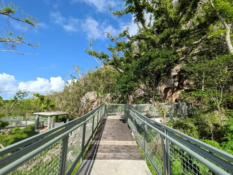 The steel-railed boardwalk at Kalabera Cave, Saipan, climbing toward the limestone cliff face and the cave entrance