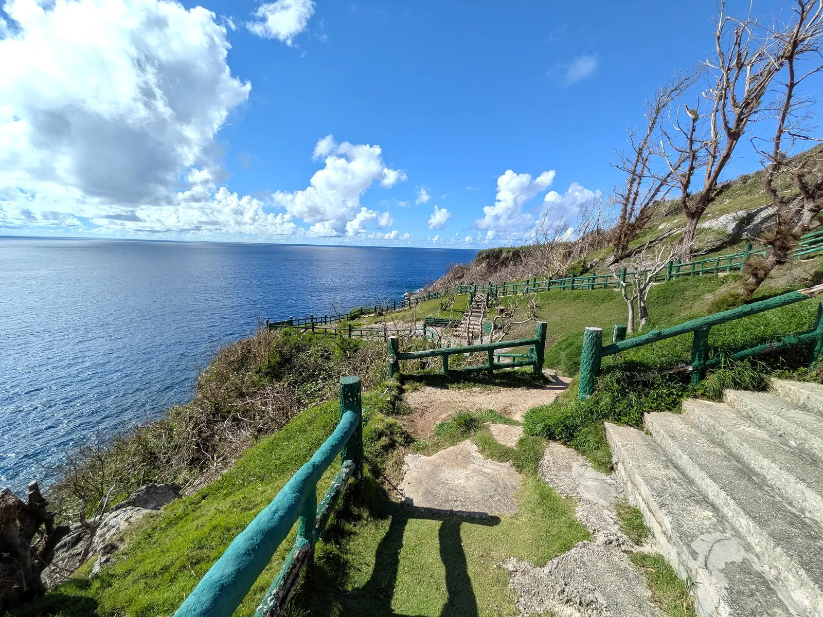 The stepped concrete path at Bird Island Lookout descending past railed terraces toward the lower viewpoints