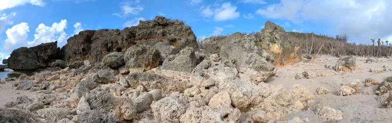 Panorama of the rocky shore at Unai Fanhang, from the limestone headland across to the storm-damaged palm line