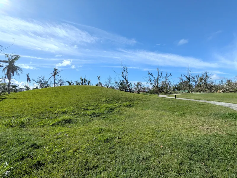 A grassy hillock at American Memorial Park with storm-damaged trees along the walking path behind it