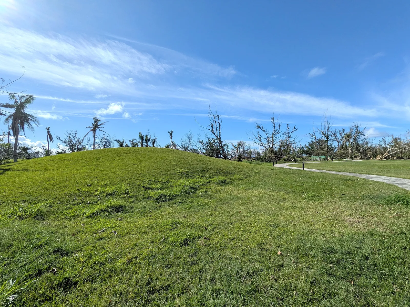 A grassy hillock at American Memorial Park with storm-damaged trees along the walking path behind it