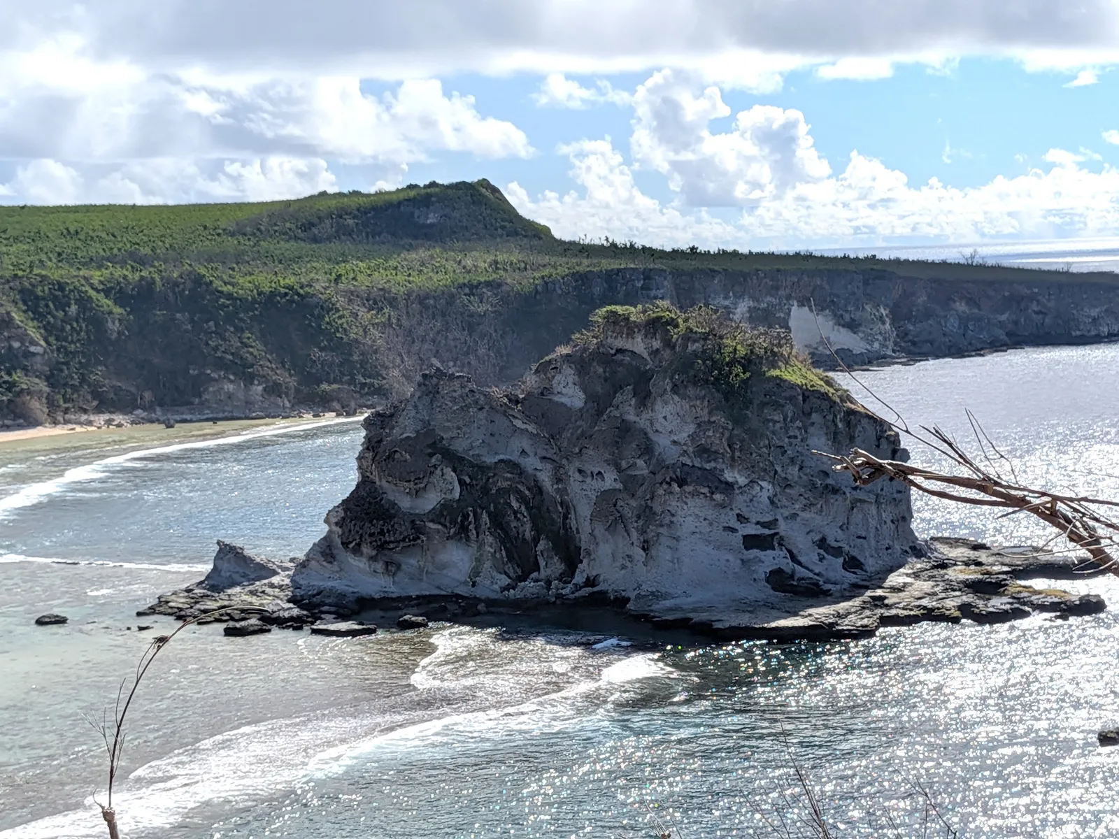 Close view of Bird Island, a weathered limestone islet capped with green vegetation, ringed by breaking surf