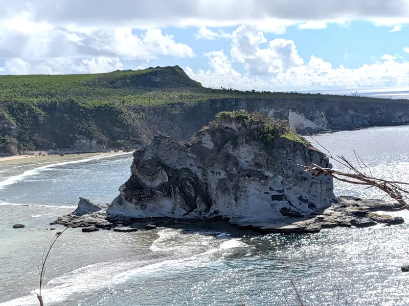 Close view of Bird Island, a weathered limestone islet capped with green vegetation, ringed by breaking surf