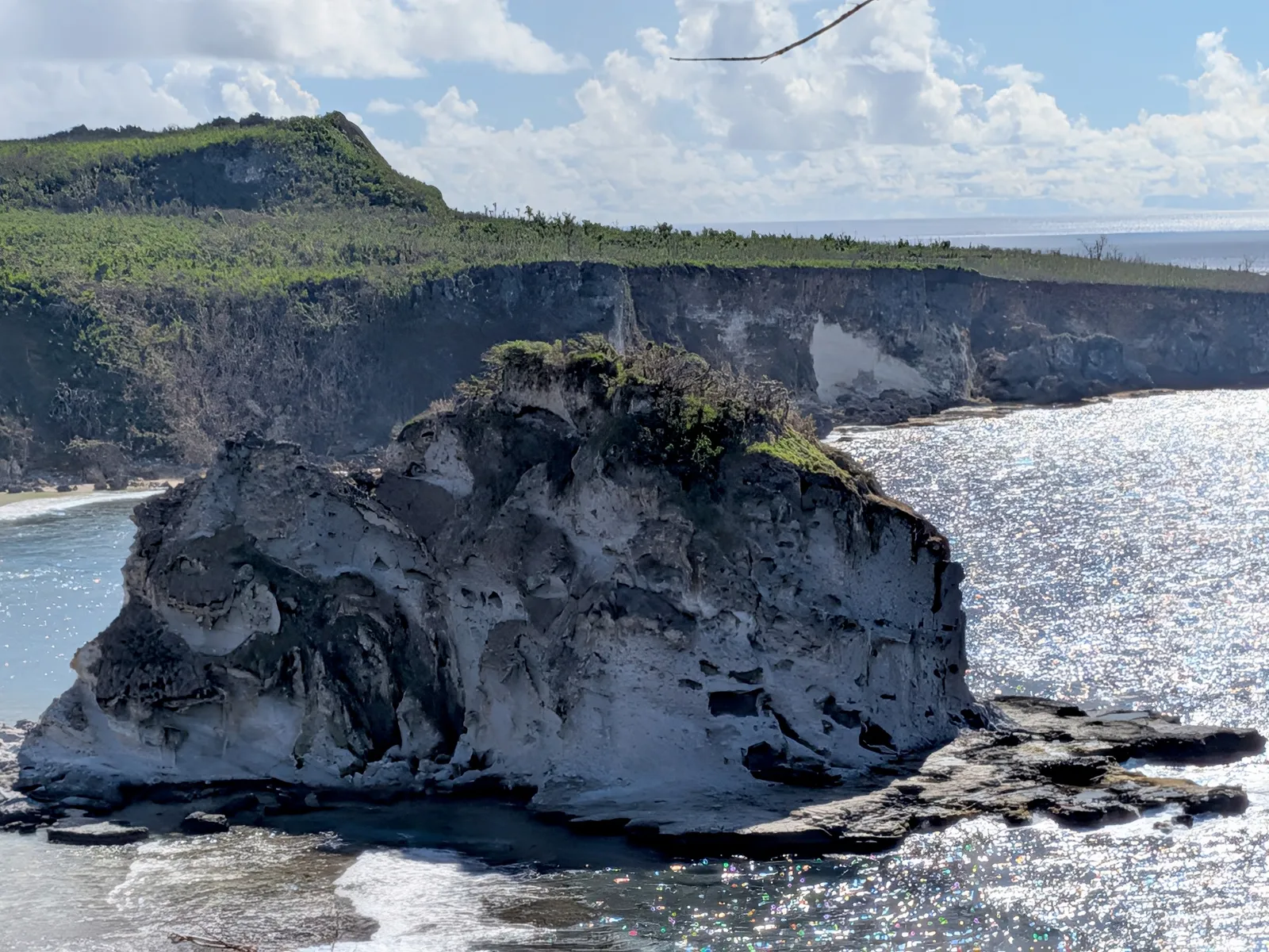 Detail of Bird Island's eroded and undercut limestone flanks above the reef