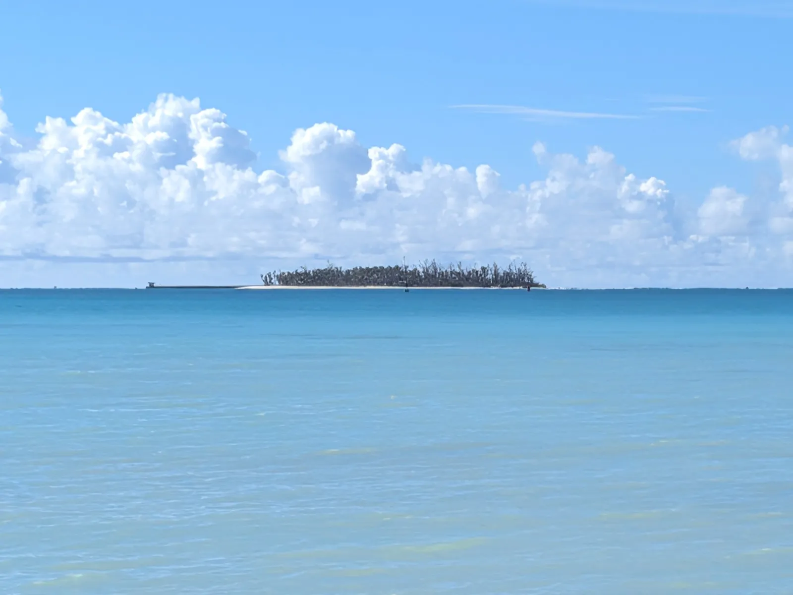 A small wooded islet visible offshore from Micro Beach