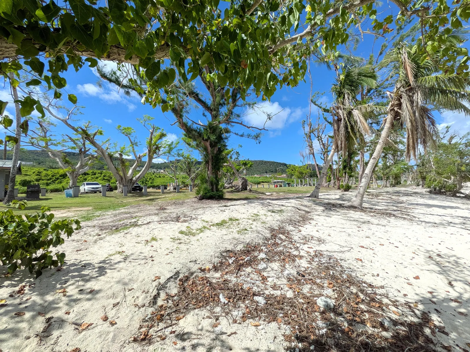 The picnic grounds at Paupau Beach Park, with parking, trees, and pavilions visible
