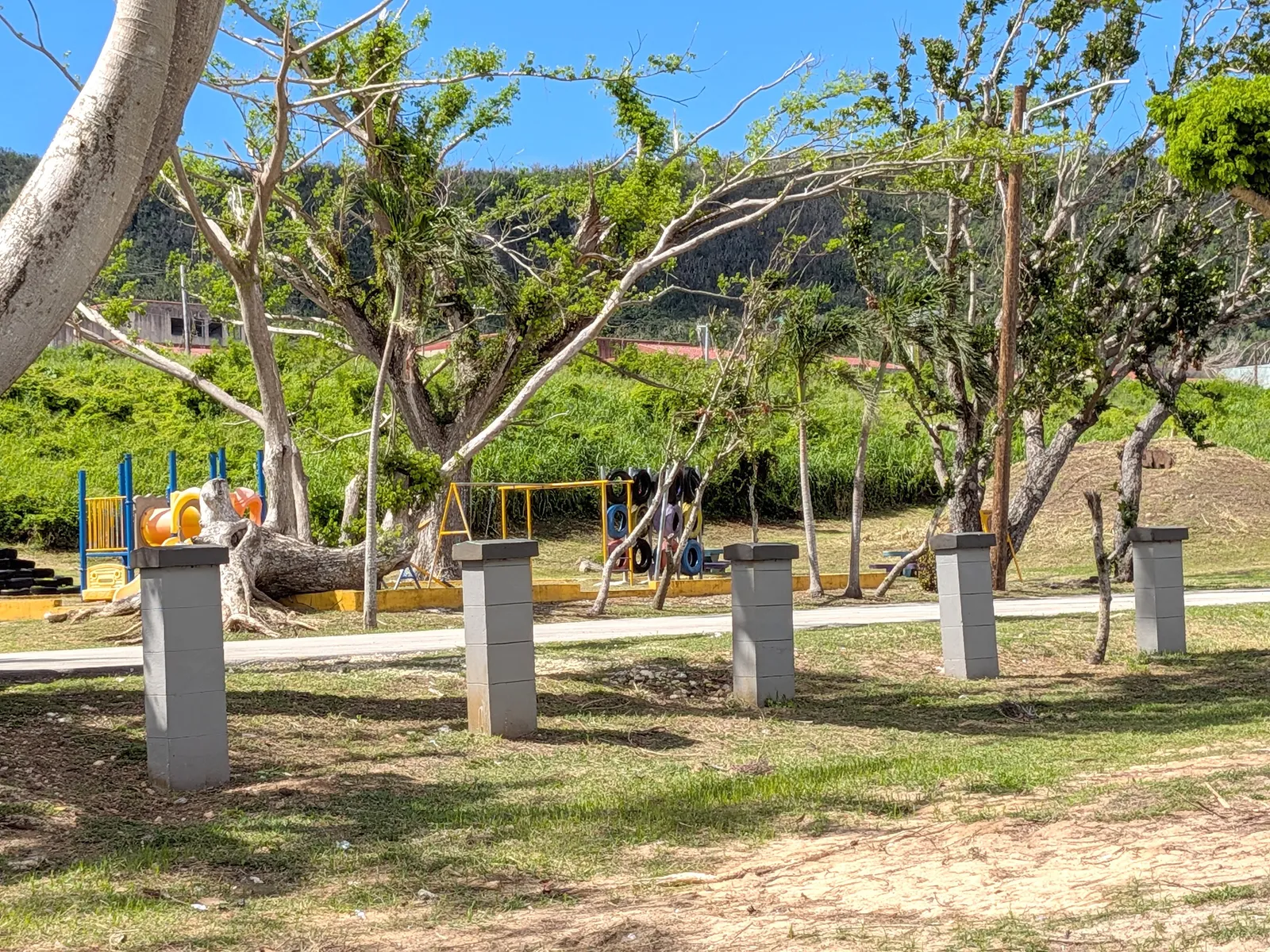 The children's playground at Paupau Beach Park, with storm-damaged trees and a fallen trunk nearby