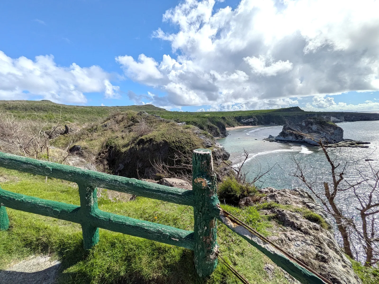 The weathered timber railing at Bird Island Lookout, with the islet and bay beyond