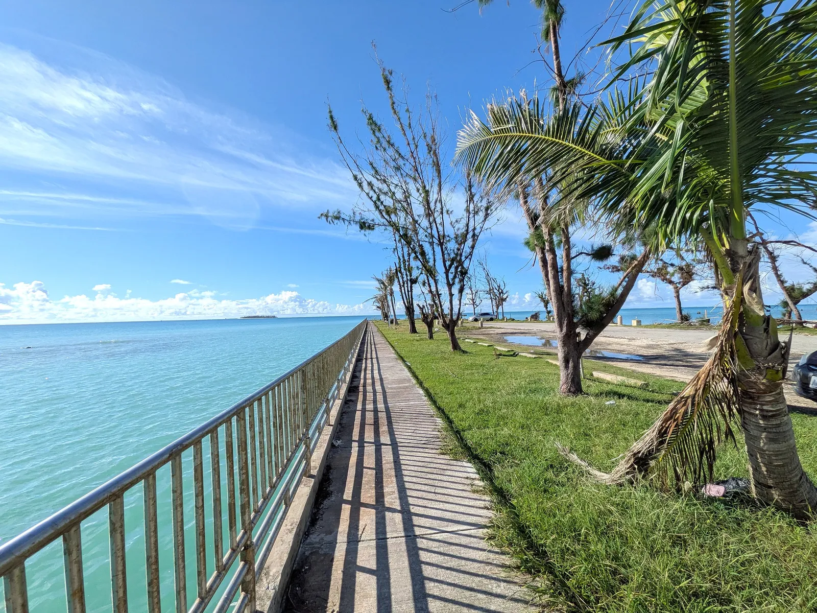 The railed seawall path at Smiling Cove Marina running between the lagoon and a line of storm-damaged ironwood and coconut palms