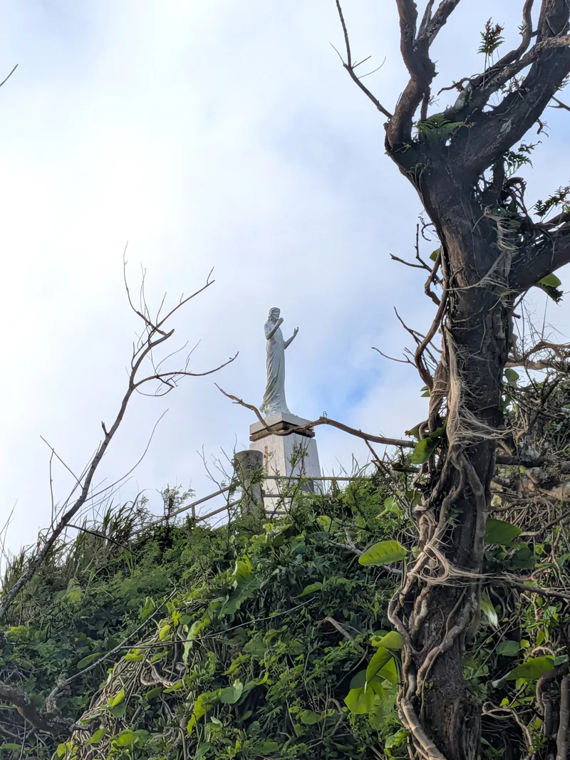 The summit statue of Christ seen through storm-bared branches on the approach path