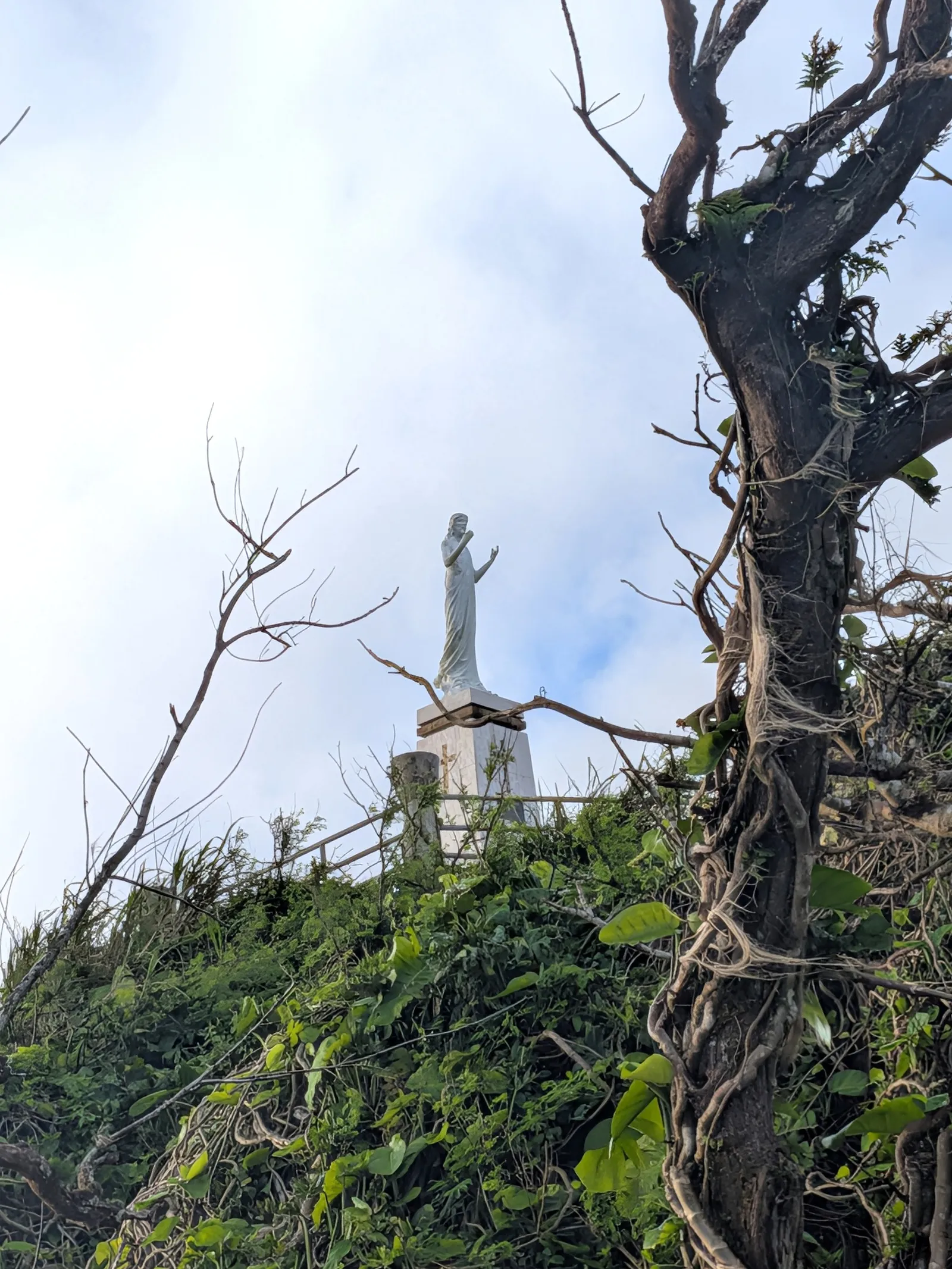 The summit statue of Christ seen through storm-bared branches on the approach path