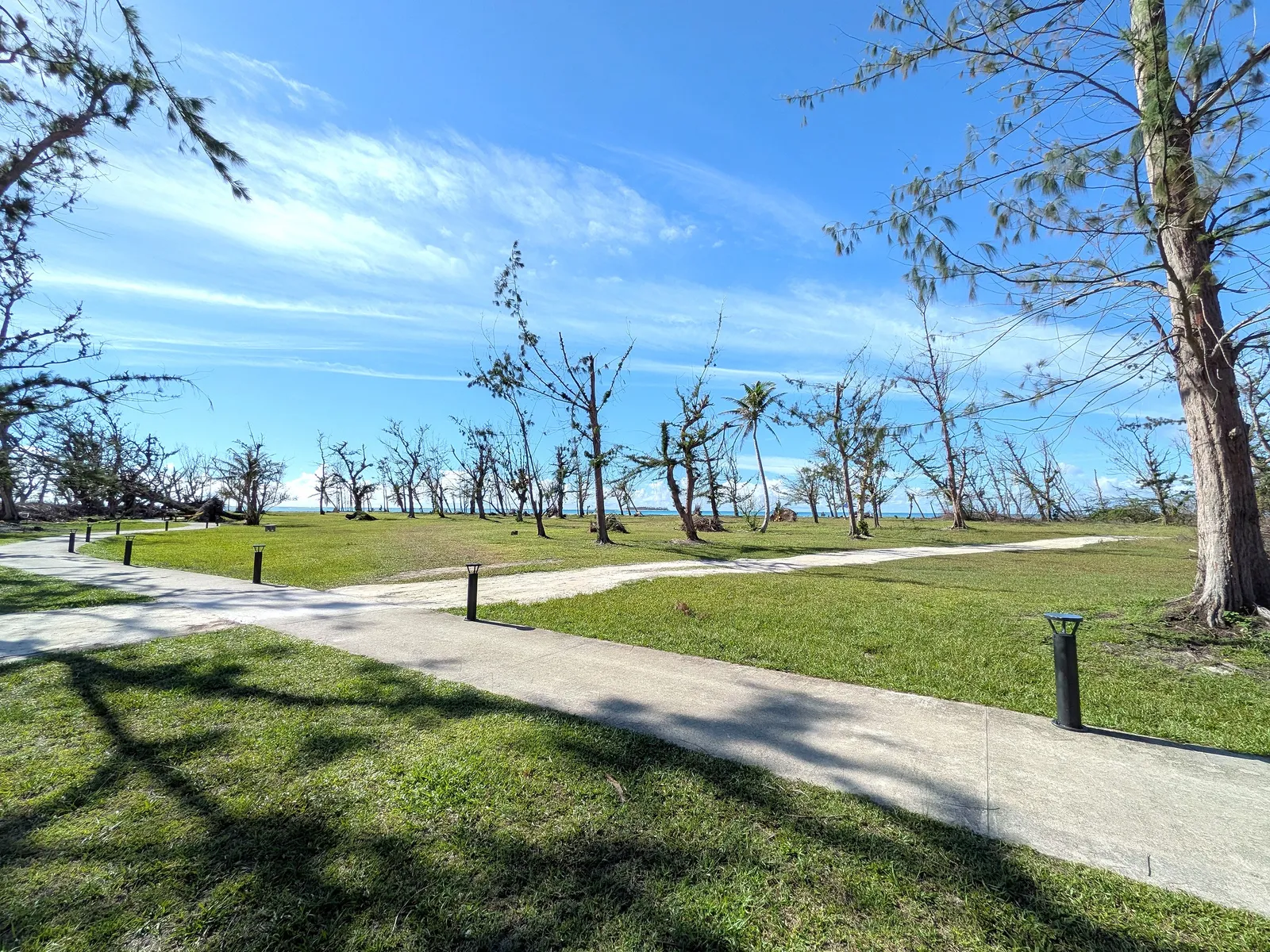 Paved walking and jogging path along Micro Beach's green, lined with lampposts and storm-damaged ironwood trees
